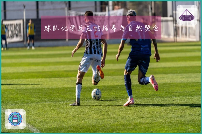 球队化学反应的培养与自然契合